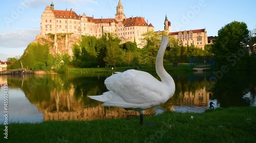 Elegant white swan standing by the lakeside with a historic castle in the background during a sunny afternoon