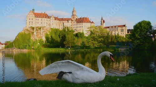 Majestic swan resting near a serene lake with a historic castle in the background during daytime