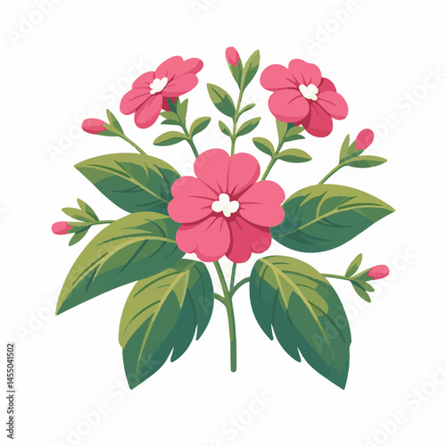 green, flower, impatiens, blossom, garden, nature, floral, bloom, colorful, leaf, plant, summer, flora, blooming, beautiful, gardening, botanical, beauty, botany, pink, spring, bright, color, fresh, r