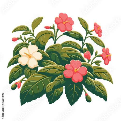 green, flower, impatiens, blossom, garden, nature, floral, bloom, colorful, leaf, plant, summer, flora, blooming, beautiful, gardening, botanical, beauty, botany, pink, spring, bright, color, fresh, r