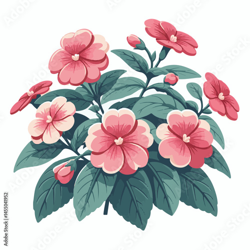 green, flower, impatiens, blossom, garden, nature, floral, bloom, colorful, leaf, plant, summer, flora, blooming, beautiful, gardening, botanical, beauty, botany, pink, spring, bright, color, fresh, r