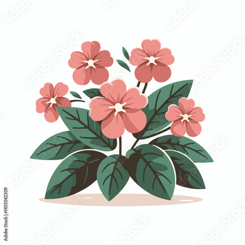 green, flower, impatiens, blossom, garden, nature, floral, bloom, colorful, leaf, plant, summer, flora, blooming, beautiful, gardening, botanical, beauty, botany, pink, spring, bright, color, fresh, r