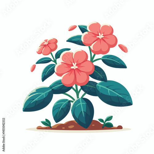 green, flower, impatiens, blossom, garden, nature, floral, bloom, colorful, leaf, plant, summer, flora, blooming, beautiful, gardening, botanical, beauty, botany, pink, spring, bright, color, fresh, r