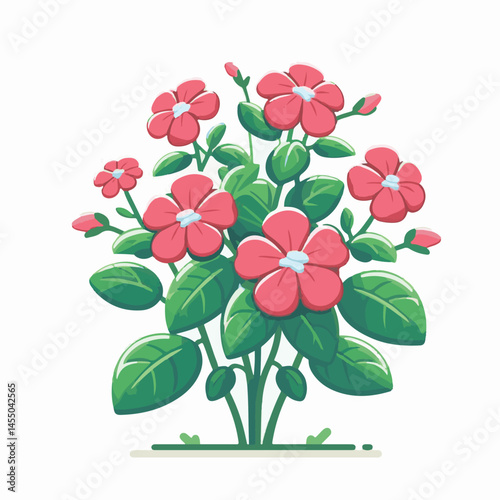 green, flower, impatiens, blossom, garden, nature, floral, bloom, colorful, leaf, plant, summer, flora, blooming, beautiful, gardening, botanical, beauty, botany, pink, spring, bright, color, fresh, r