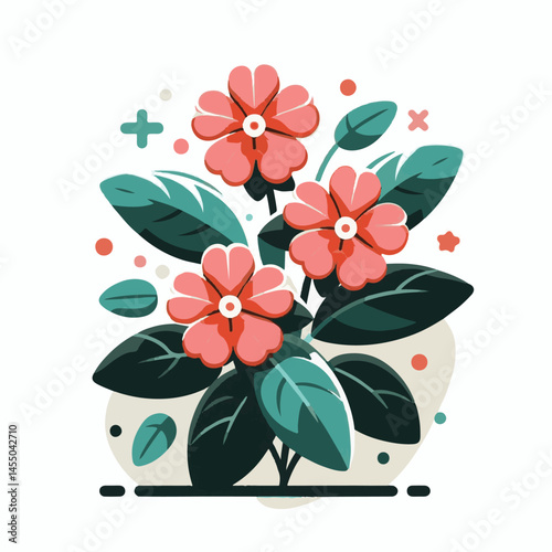green, flower, impatiens, blossom, garden, nature, floral, bloom, colorful, leaf, plant, summer, flora, blooming, beautiful, gardening, botanical, beauty, botany, pink, spring, bright, color, fresh, r