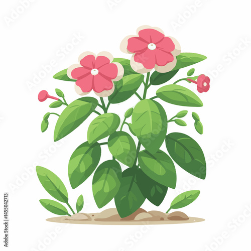 green, flower, impatiens, blossom, garden, nature, floral, bloom, colorful, leaf, plant, summer, flora, blooming, beautiful, gardening, botanical, beauty, botany, pink, spring, bright, color, fresh, r