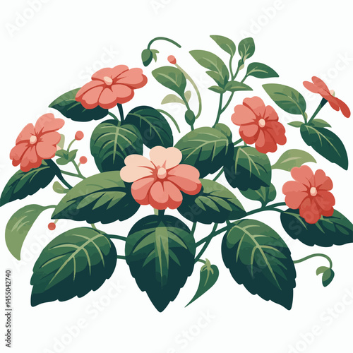 green, flower, impatiens, blossom, garden, nature, floral, bloom, colorful, leaf, plant, summer, flora, blooming, beautiful, gardening, botanical, beauty, botany, pink, spring, bright, color, fresh, r