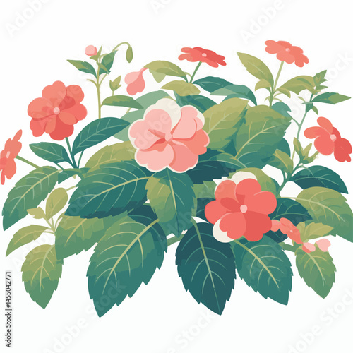 green, flower, impatiens, blossom, garden, nature, floral, bloom, colorful, leaf, plant, summer, flora, blooming, beautiful, gardening, botanical, beauty, botany, pink, spring, bright, color, fresh, r