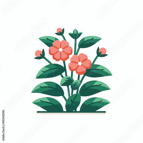 green, flower, impatiens, blossom, garden, nature, floral, bloom, colorful, leaf, plant, summer, flora, blooming, beautiful, gardening, botanical, beauty, botany, pink, spring, bright, color, fresh, r