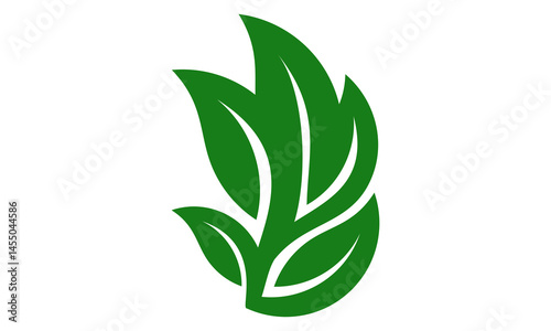 green leaf vector illustration logo
