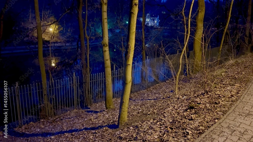 Fototapeta premium A Serene Night Walk by the Lake in the Enchanting Forest, Under the Stars and Moonlight