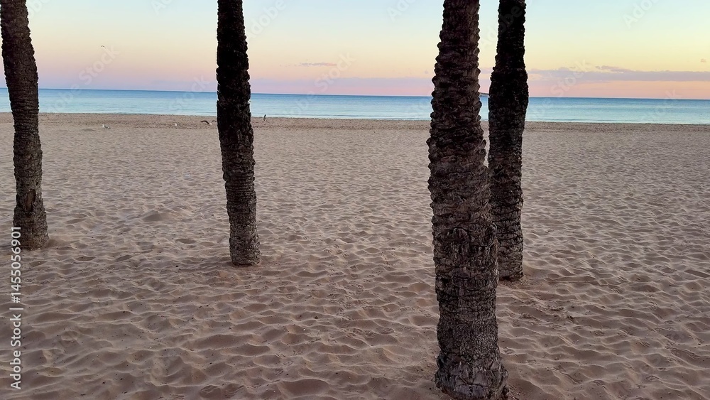 Fototapeta premium A Serene and Stunning Beach Sunset Scene Featuring Palm Trees Silhouetted Against a Colorful Sky