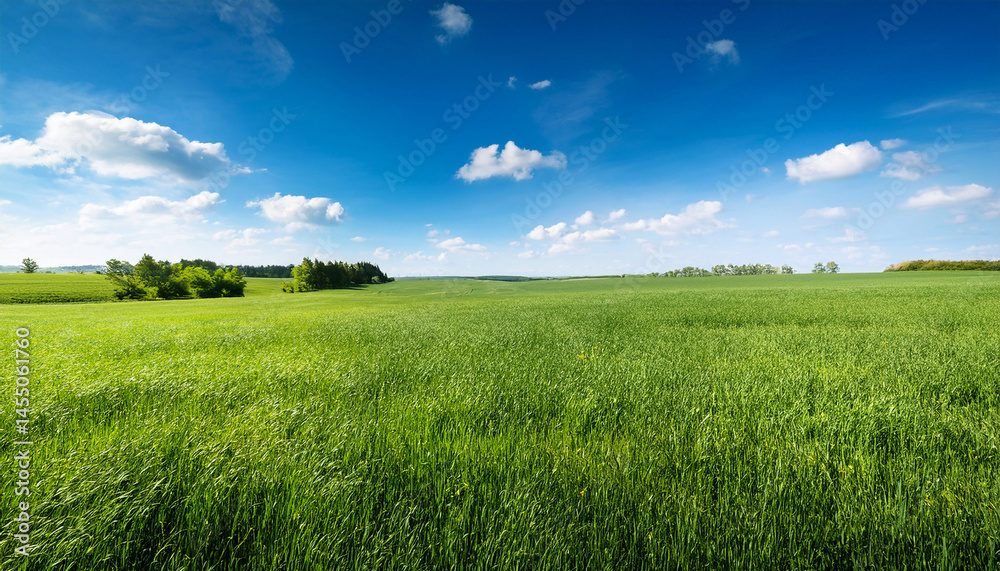 Fototapeta premium a bright and serene summer landscape featuring a lush green field under a clear blue sky
