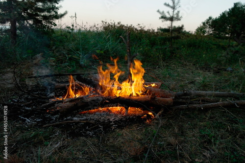orange flame of fire at night in nature