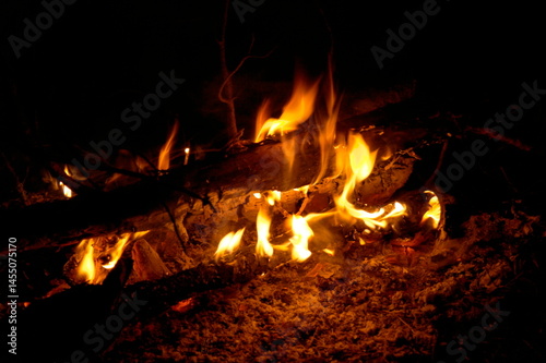 orange flame of fire at night in nature