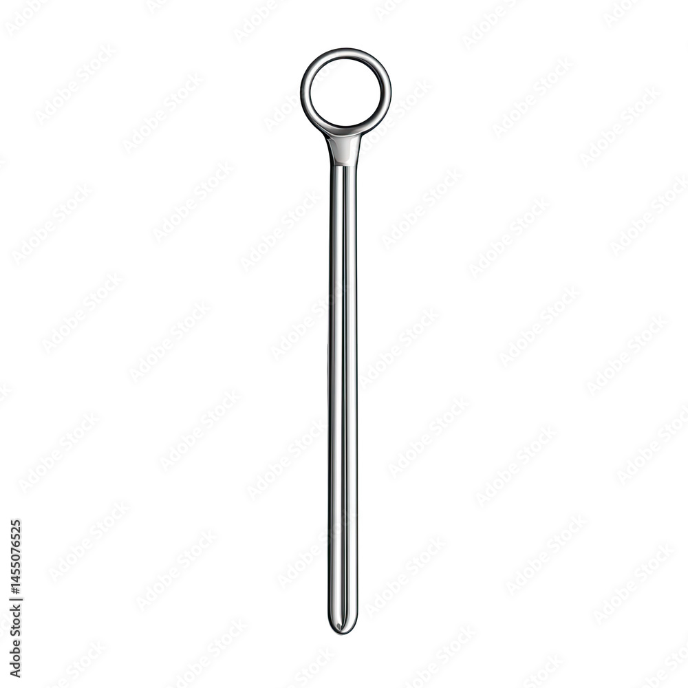 Silver Rod with Ring Silver Rod with Ring