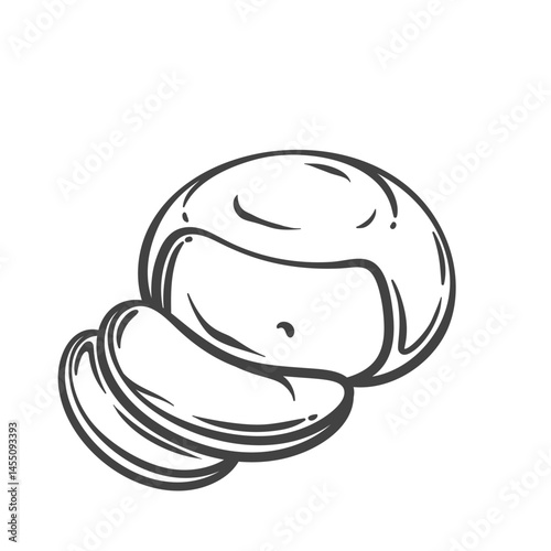 Round mozzarella cheese with sliced pieces in engraved doodle style. Hand drawn soft dairy food. Vector illustration for pizza design, packaging, or culinary menu.