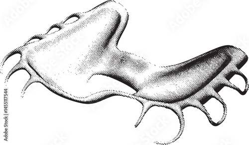 A detailed black and white depicts a stylized octopus with flowing tentacles.