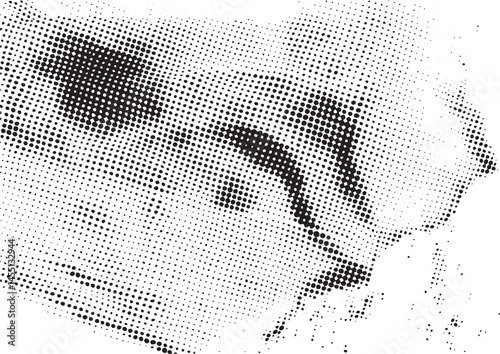 A close-up of a face rendered with a halftone dot .
