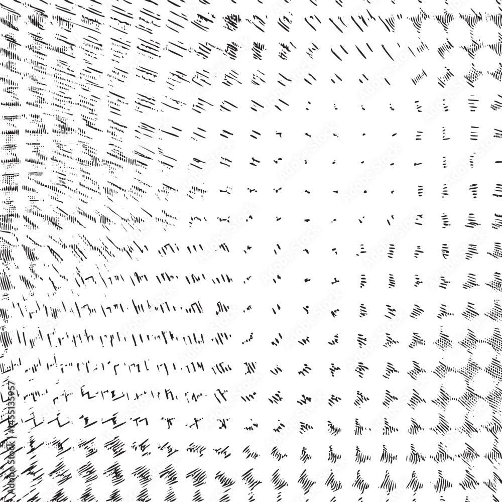 Fototapeta premium A dense network of fine black lines creates a complex textured .