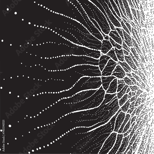A stark intricate network of radiating white lines emanates from a central point against a dark background.