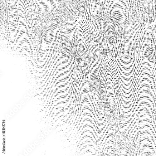 A grayscale of dense repeating dots forms a textured surface.