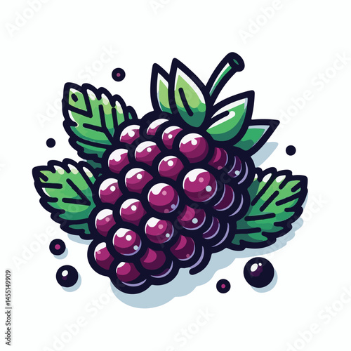 berry, food, fruit, blackberry, sweet, ripe, fresh, organic, natural, healthy, marionberry, dessert, juicy, background, isolated, summer, leaf, black, red, green, freshness, raw, closeup, bramble, ill