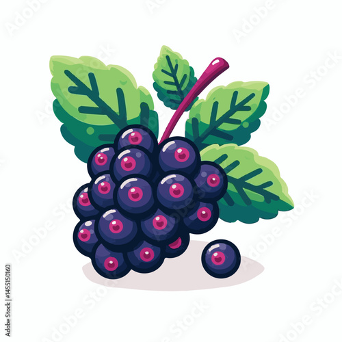 berry, food, fruit, blackberry, sweet, ripe, fresh, organic, natural, healthy, marionberry, dessert, juicy, background, isolated, summer, leaf, black, red, green, freshness, raw, closeup, bramble, ill