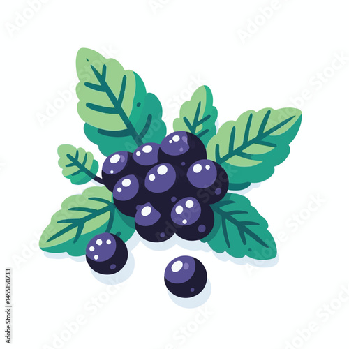 berry, food, fruit, blackberry, sweet, ripe, fresh, organic, natural, healthy, marionberry, dessert, juicy, background, isolated, summer, leaf, black, red, green, freshness, raw, closeup, bramble, ill