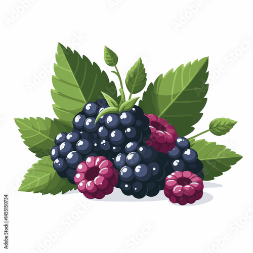 berry, food, fruit, blackberry, sweet, ripe, fresh, organic, natural, healthy, marionberry, dessert, juicy, background, isolated, summer, leaf, black, red, green, freshness, raw, closeup, bramble, ill