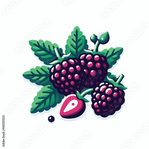 berry, food, fruit, blackberry, sweet, ripe, fresh, organic, natural, healthy, marionberry, dessert, juicy, background, isolated, summer, leaf, black, red, green, freshness, raw, closeup, bramble, ill