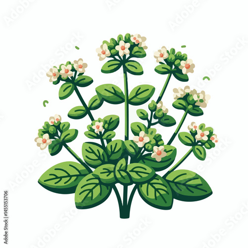 herb, leaf, organic, oregano, herbal, marjoram, plant, spice, green, ingredient, fresh, branch, aroma, background, raw, isolated, healthy, nature, closeup, condiment, freshness, seasoning, natural, ar