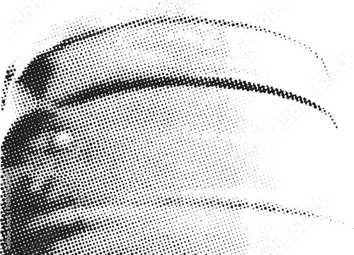 A dark abstract form gently curves upwards against a textured white background.