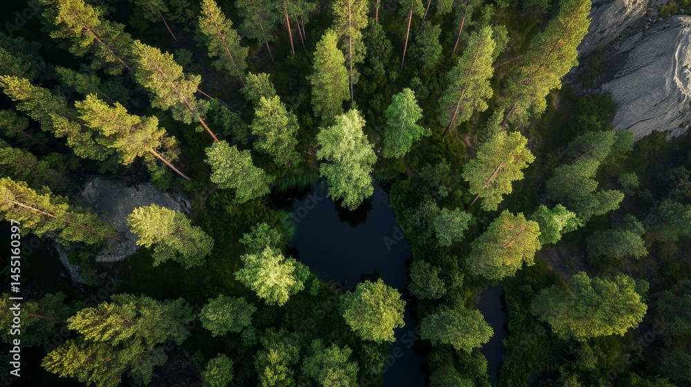 Fototapeta premium Aerial view of serene forest with pine trees surrounding a reflective pond