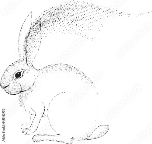 A solitary white rabbit sits attentively its ears perked and alert.
