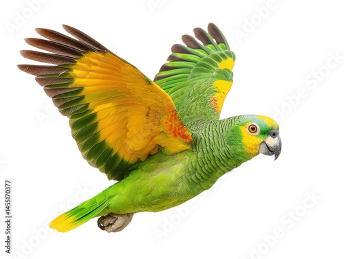 Colorful parrot in flight showcasing vibrant green and yellow feathers against a transparent background photo
