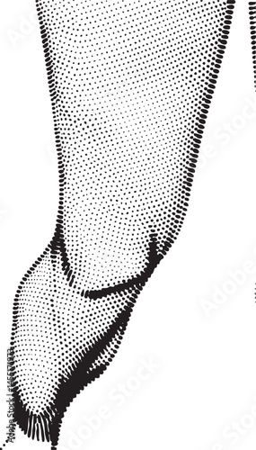 A black and white pointillist rendering depicts a horse’s elegant leg extending forward.