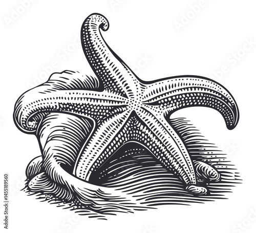 Vintage Starfish Illustration on a Wavy Ocean Background Design
