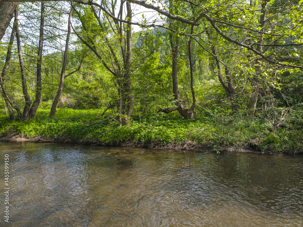 Iskar river near Pancharevo lake, Bulgaria