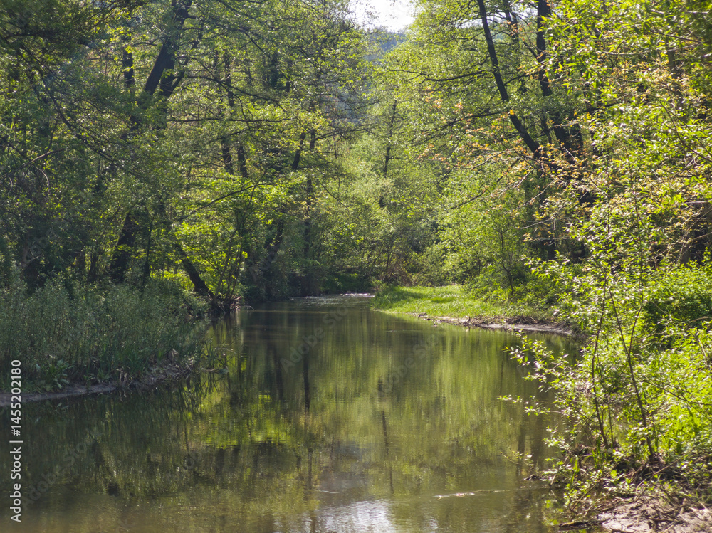 Iskar river near Pancharevo lake, Bulgaria