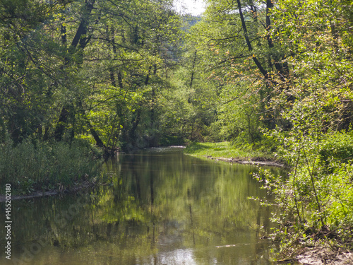 Obraz na płótnie Iskar river near Pancharevo lake, Bulgaria w salonie