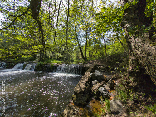 Obraz na płótnie Iskar river near Pancharevo lake, Bulgaria w salonie