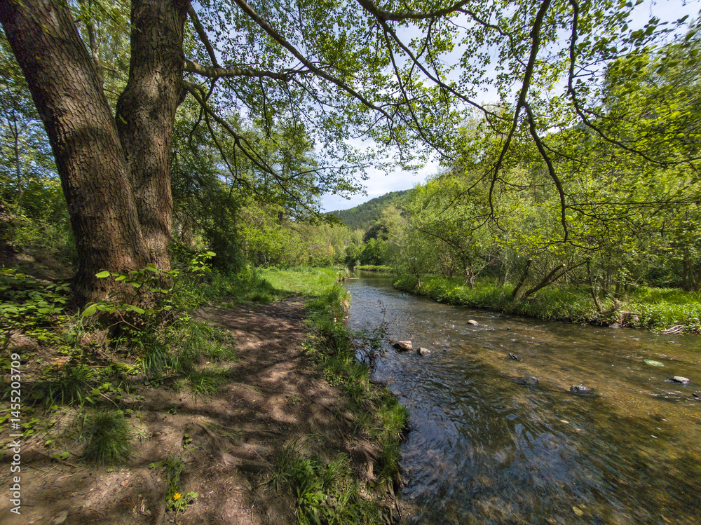 Iskar river near Pancharevo lake, Bulgaria