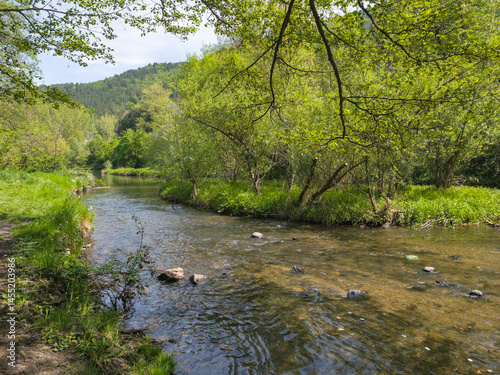 Obraz na płótnie Iskar river near Pancharevo lake, Bulgaria w salonie