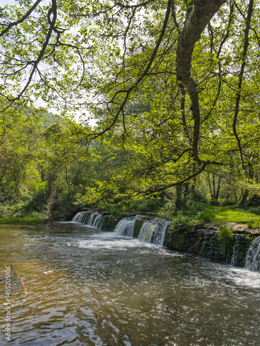 Obraz na płótnie Iskar river near Pancharevo lake, Bulgaria w salonie