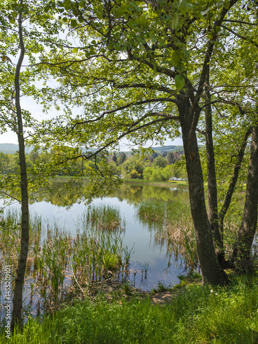 Obraz na płótnie Iskar river near Pancharevo lake, Bulgaria w salonie