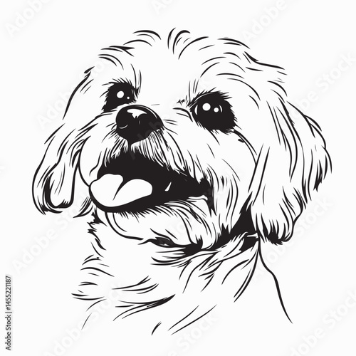 Cute Maltese dog with tongue out image vector isolated on white background.