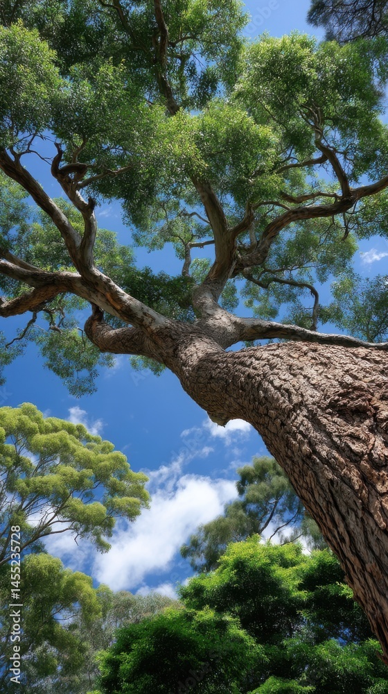 Naklejka premium View from below of large tree with vibrant green leaves against a partly cloudy vibrant blue sky.