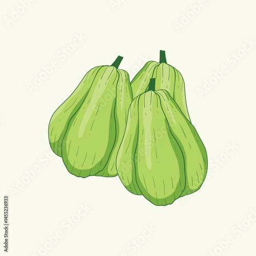 Choko vegetables flat design cartoon illustration