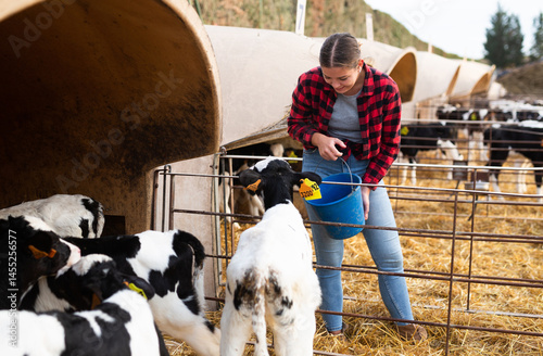Positive young woman farmer petting and feeding calves during the day on ranch. Cattle breeding, taking care of animals, dairy and meat production concept